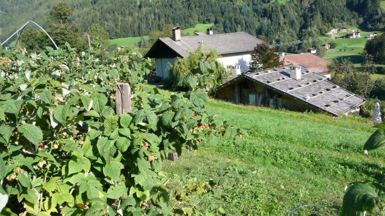 Obergereuth Hof 1288 Διαμέρισμα San Martino In Passiria  Εξωτερικό φωτογραφία